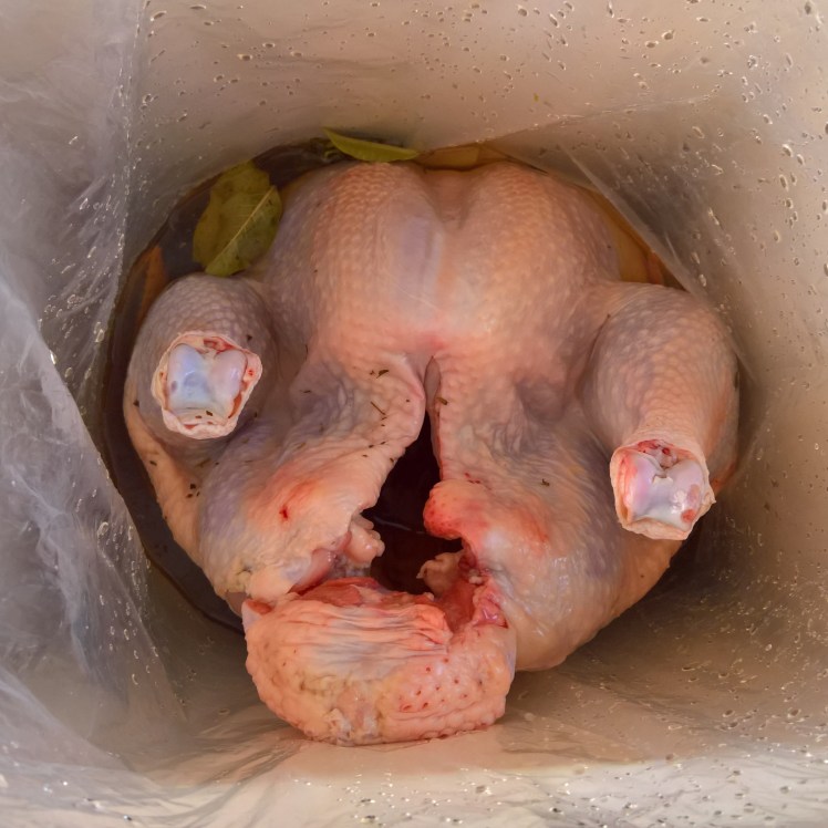 WP_20170513_11_57_54_Pro_LI