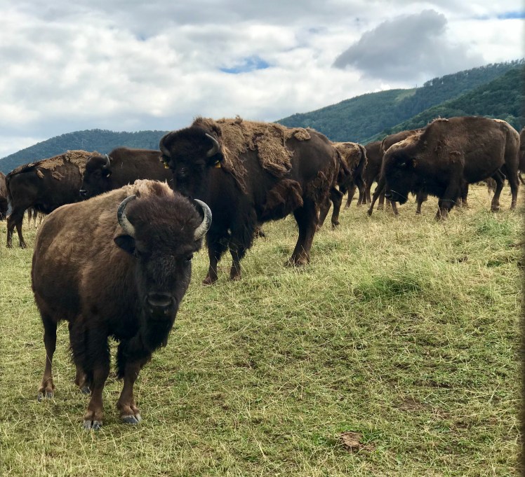 20180623_102016040_iOS