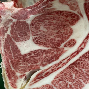A5 Kobe Beef om Schlachthaus